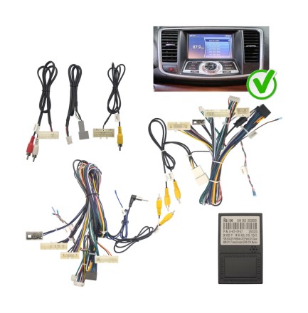 Комплект проводов для установки магнитолы в Nissan Murano (2007 - 2016), Teana (2008 - 2013) (AMP, CAN) RZC